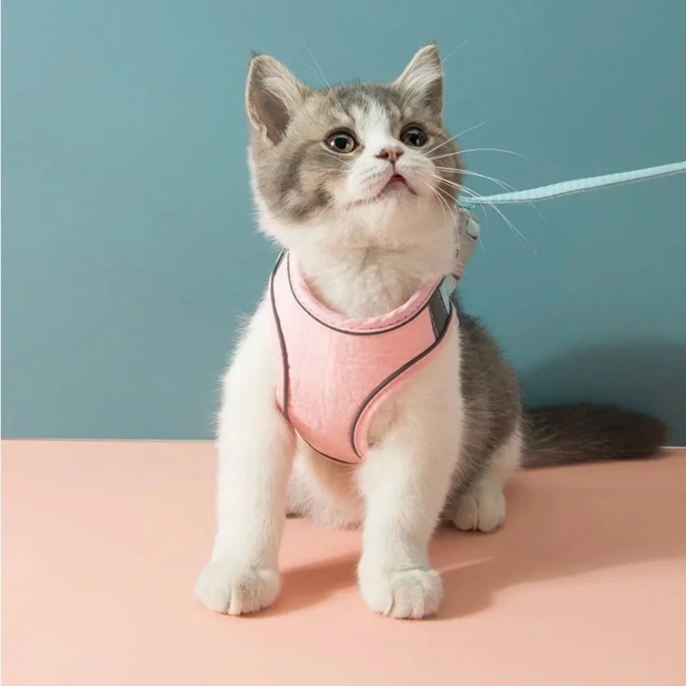Dog Cat Harness & Leash Set